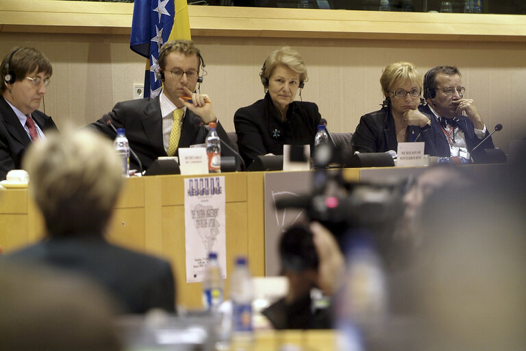 Fotografi 5: AFET Committee public hearing on the Dayton Agreement - Ten years after.