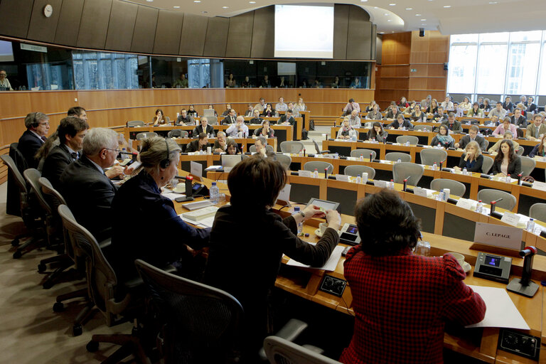 Zdjęcie 7: Hearing on GMO's cultivation in presence of European Commissioner John Dalli