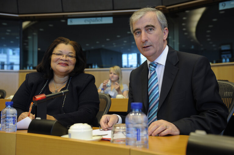 Working Group on Human Dignity