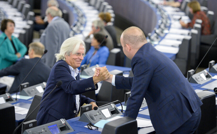 Photo 11 : Plenary session Week 27 2017 in Strasbourg