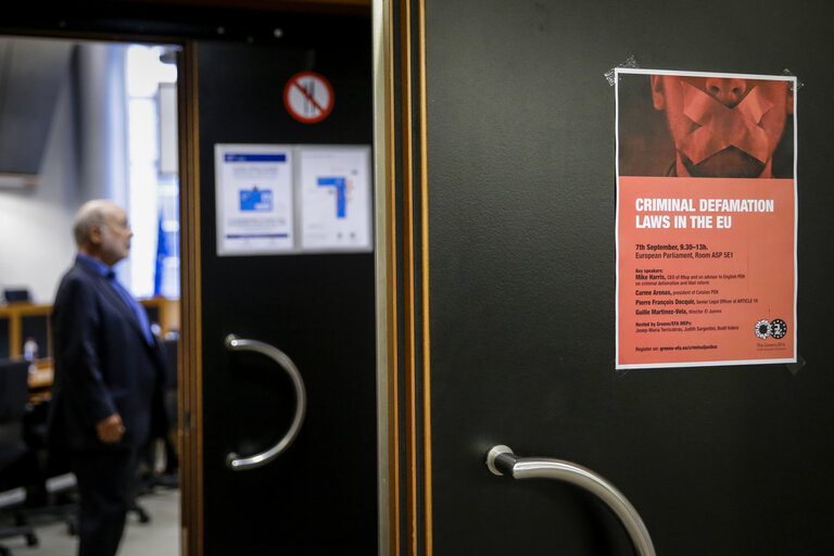 Photo 24 : Greens/EFA conference - Criminal defamation laws in the EU