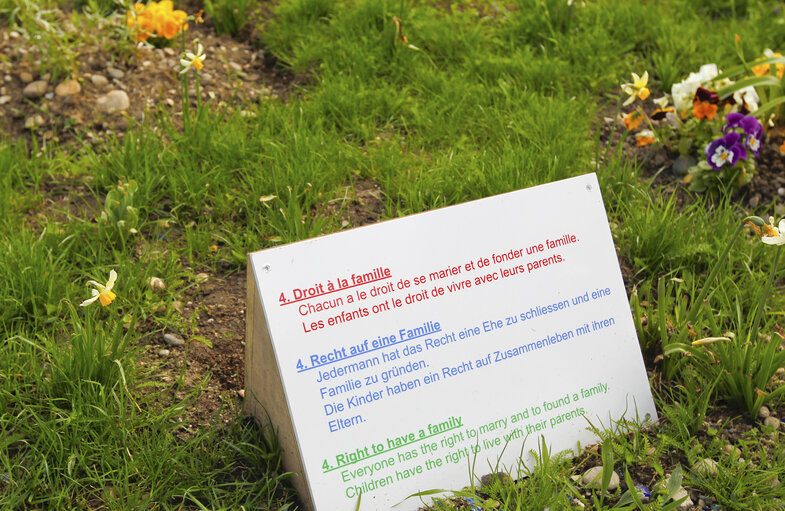 Billede 13: French German Garden of the Human Rights