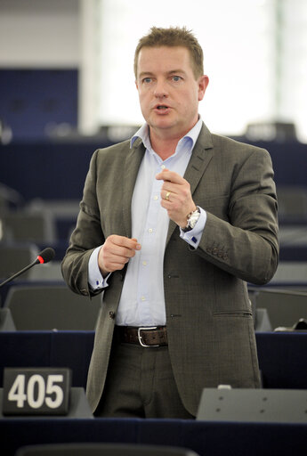 Billede 14: Plenary Session in Strasbourg - Week 16 - 2012