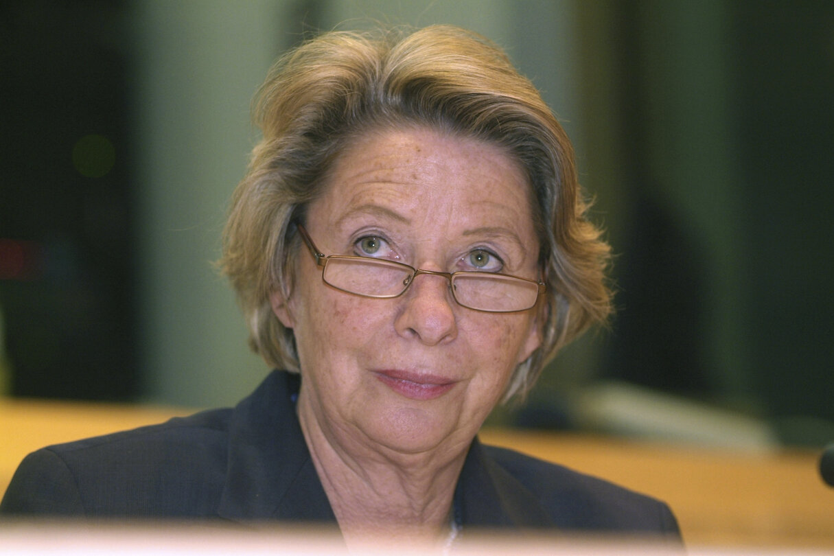 Ursula STENZEL in a meeting at the EP in Brussels.