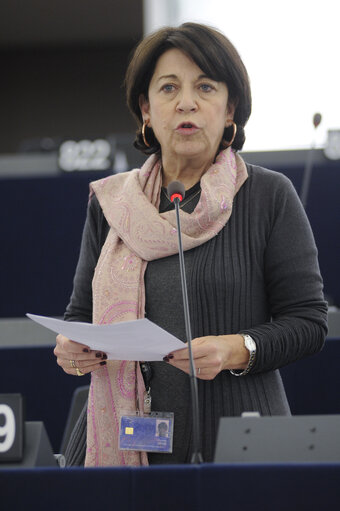 Plenary Session in Strasbourg - Week 3 - 2012