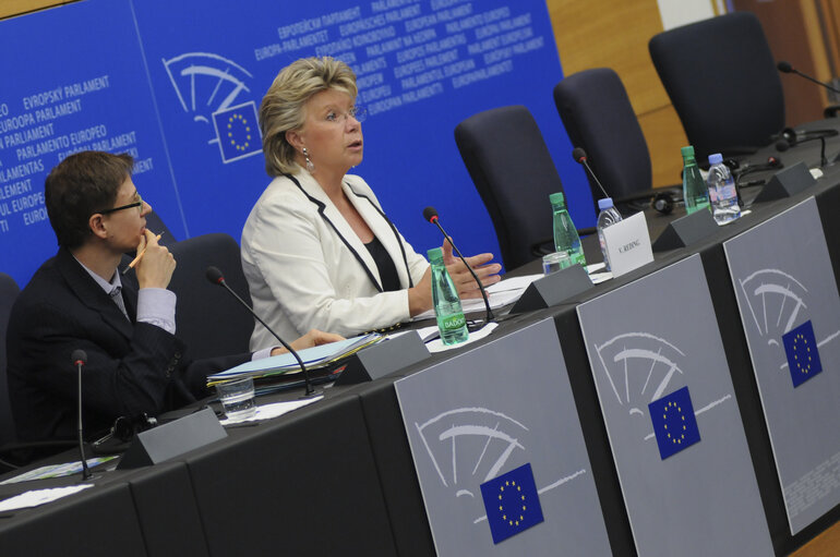 CDP with VP Viviane REDING, Gender Strategy