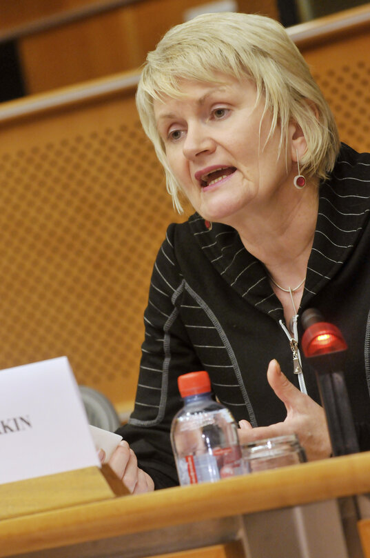 ALDE meeting on Social Economy.