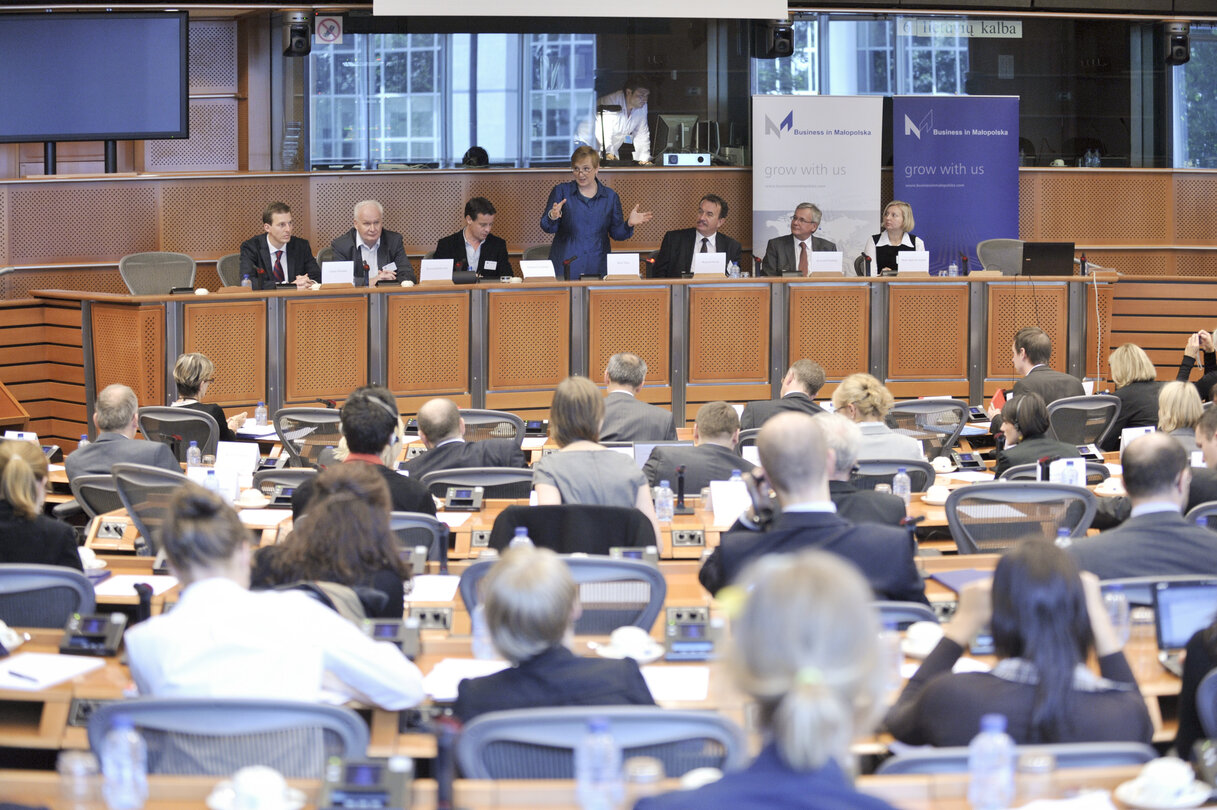 Conference on digital cinemas at EP in Brussels