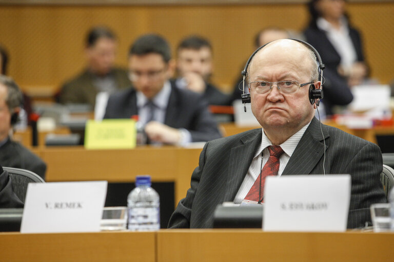 Fotografija 16: Delegation to the EU-Russia parliamentary cooperation Committee