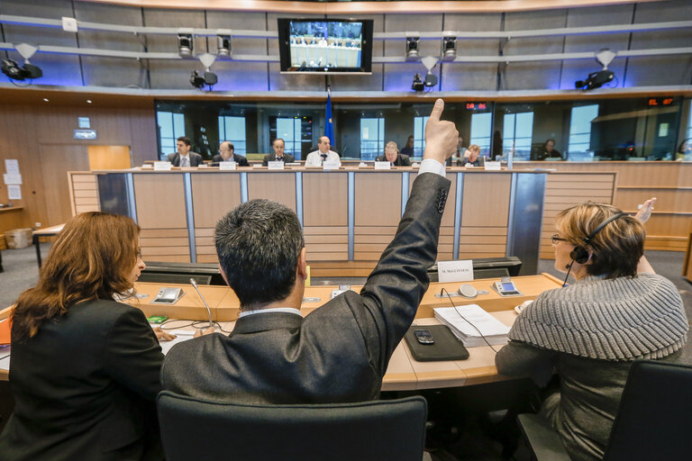 Photo 6 : AGRI - orientation vote on Financing, management and monitoring of the CAP