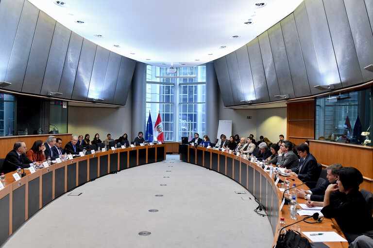 Fotografia 4: Meeting of the EP delegation for relations with Latin America with a delegation of the Congress of Peru