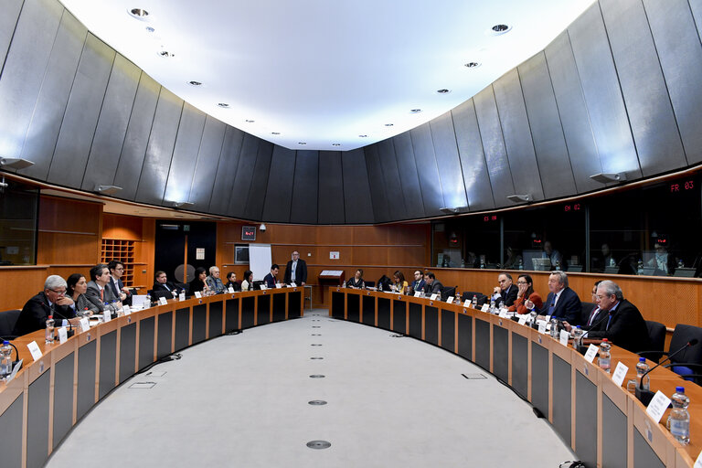 Fotografia 15: Meeting of the EP delegation for relations with Latin America with a delegation of the Congress of Peru