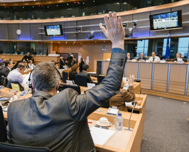 Photo 7 : AGRI - orientation vote on Financing, management and monitoring of the CAP