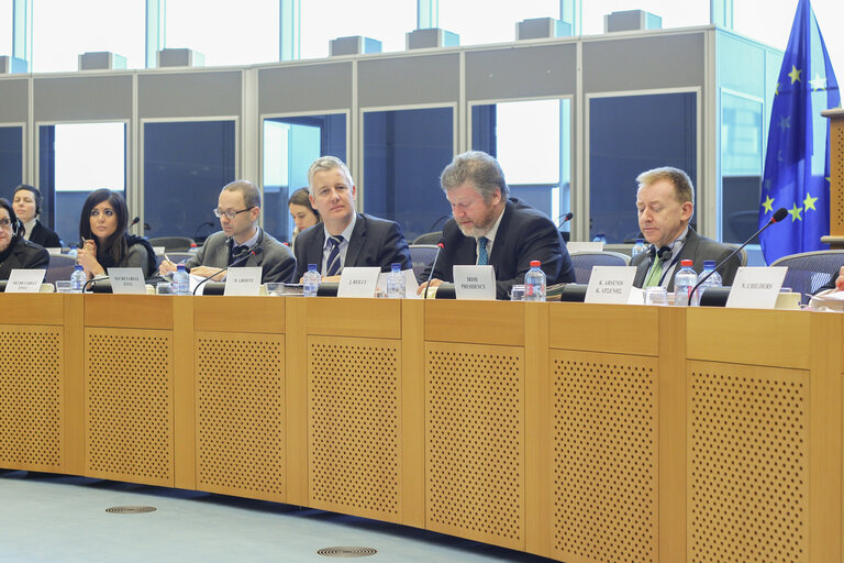 Foto 6: ENVI Committee meeting