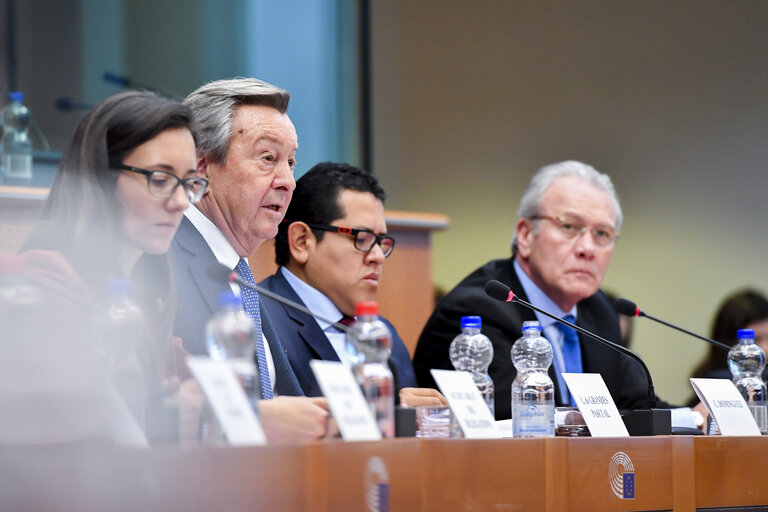 Fotografia 3: Meeting of the EP delegation for relations with Latin America with a delegation of the Congress of Peru