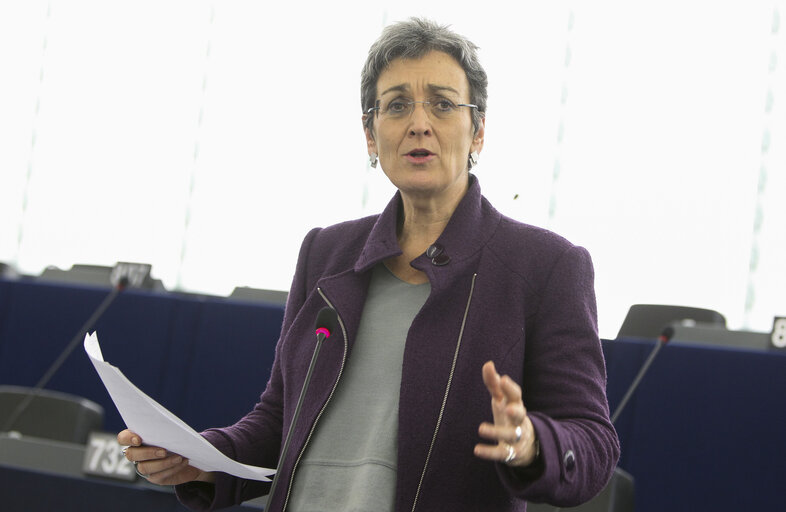 Foto 8: Plenary Session week 6 2013 - Elimination and prevention of all forms of violence against women and girls