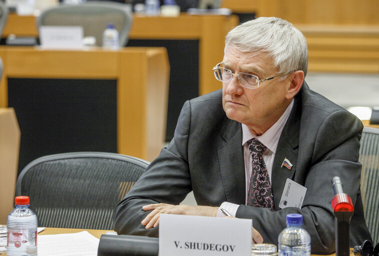 Fotografija 17: Delegation to the EU-Russia parliamentary cooperation Committee