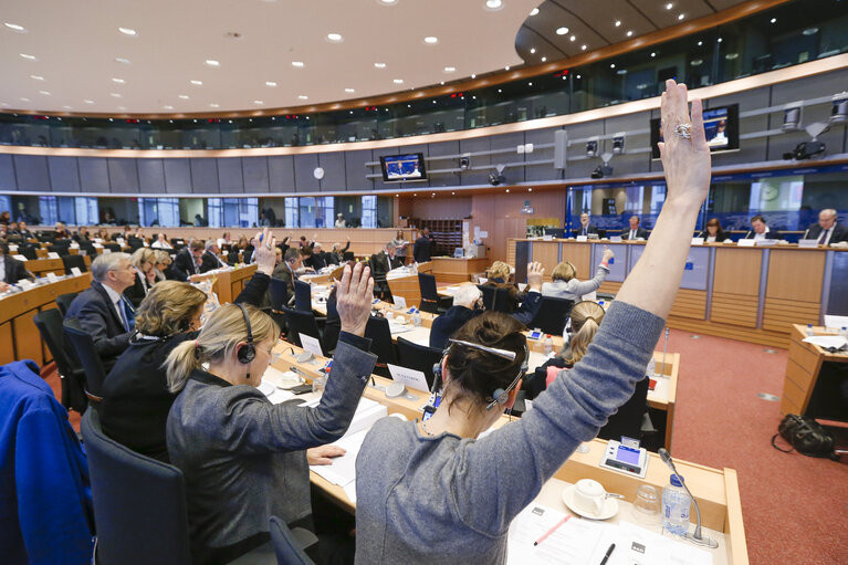 Foto 12: ITRE vote on resolution on nuclear stress tests - Risk and safety assessments (stress tests) of nuclear power plants in the EU