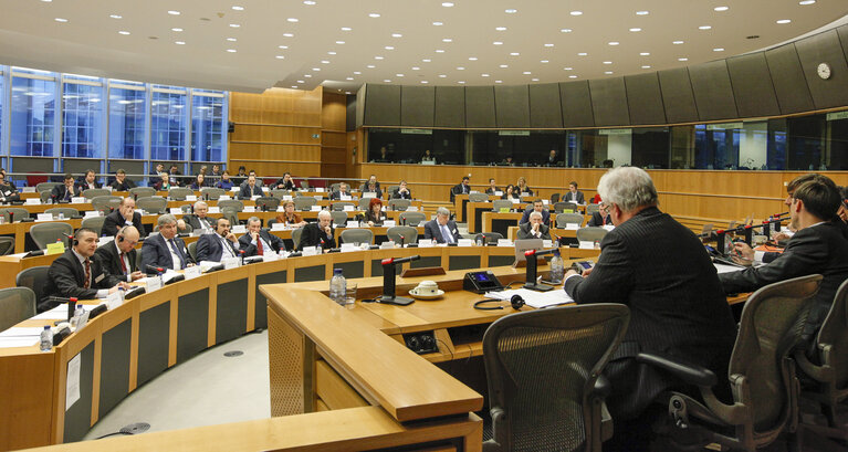 Delegation to the EU-Russia parliamentary cooperation Committee