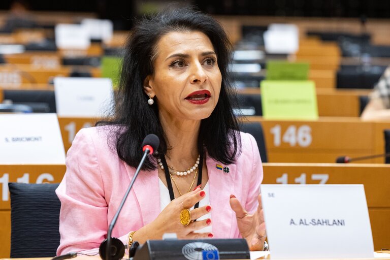 Photo 4: LIBE Committee - The Situation of Fundamental Rights in the European Union in 2020 and 2021