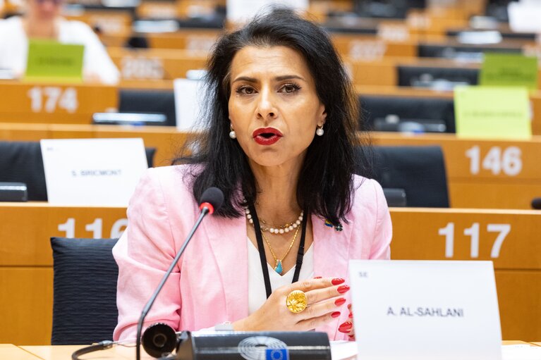 Photo 3: LIBE Committee - The Situation of Fundamental Rights in the European Union in 2020 and 2021