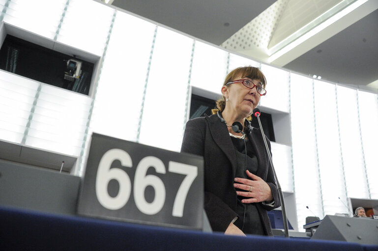 Foto 26: Plenary Session week 6 2013 - Specific measures in favour of agriculture in the smaller Aegean islands