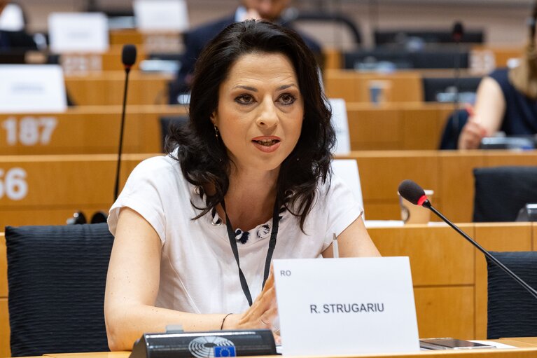 Photo 15: LIBE Committee - The Situation of Fundamental Rights in the European Union in 2020 and 2021