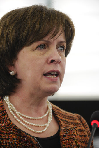 Foto 24: Plenary Session week 6 2013 - Specific measures in favour of agriculture in the smaller Aegean islands