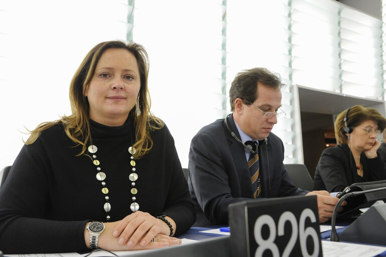 Photo 4: Mep in plenary during session week 6 2013 in Strasbourg