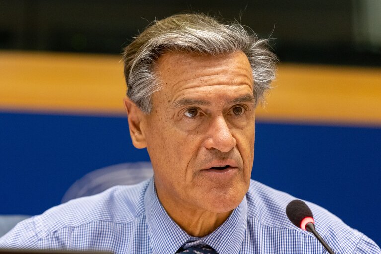 Photo 14: LIBE Committee - The Situation of Fundamental Rights in the European Union in 2020 and 2021