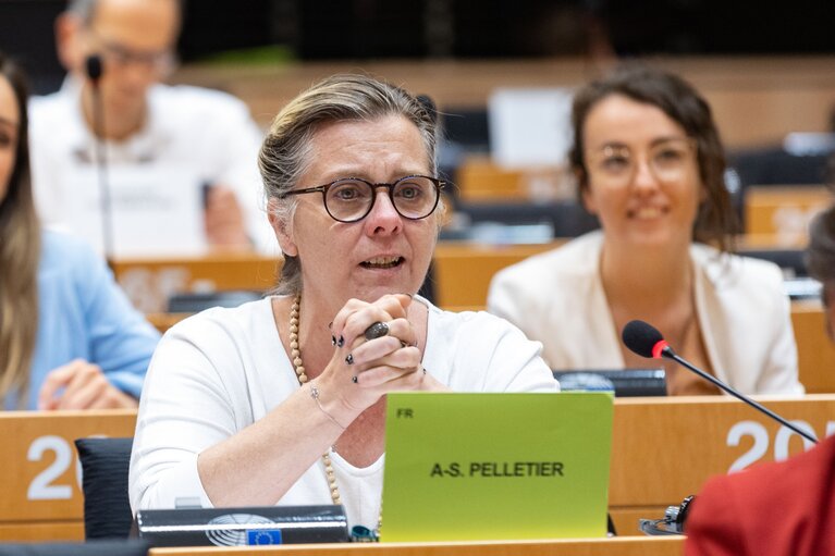 Photo 9: LIBE Committee - The Situation of Fundamental Rights in the European Union in 2020 and 2021