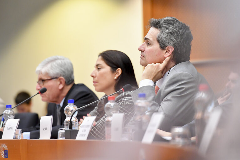 Fotografia 5: Meeting of the EP delegation for relations with Latin America with a delegation of the Congress of Peru