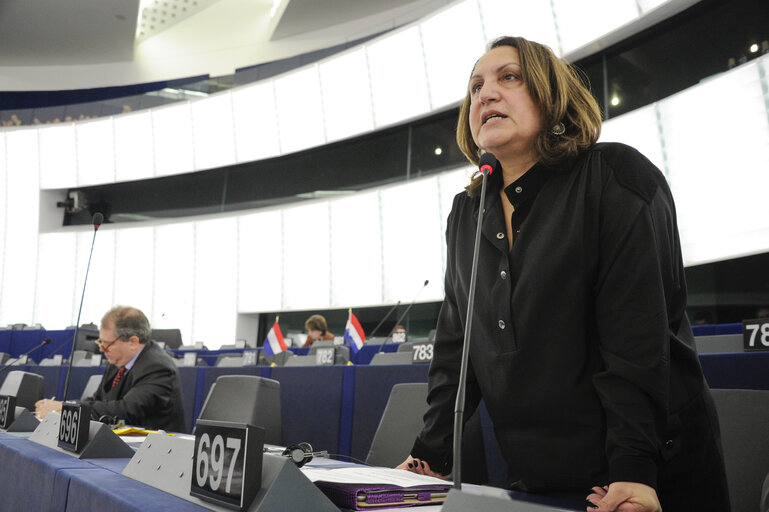 Foto 21: Plenary Session week 6 2013 - Improving access to finance for SMEs