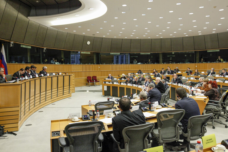 Fotografija 21: Delegation to the EU-Russia parliamentary cooperation Committee