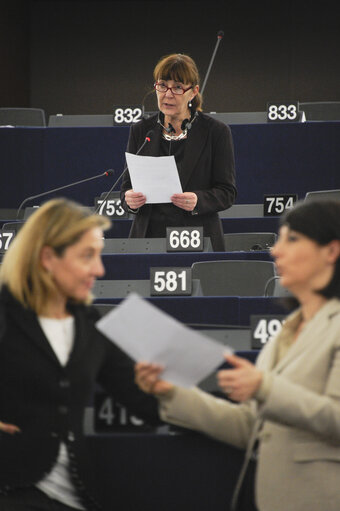 Foto 27: Plenary Session week 6 2013 - Specific measures in favour of agriculture in the smaller Aegean islands