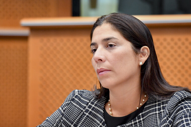 Fotografia 11: Meeting of the EP delegation for relations with Latin America with a delegation of the Congress of Peru