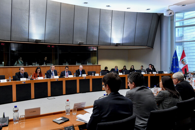 Fotografia 6: Meeting of the EP delegation for relations with Latin America with a delegation of the Congress of Peru