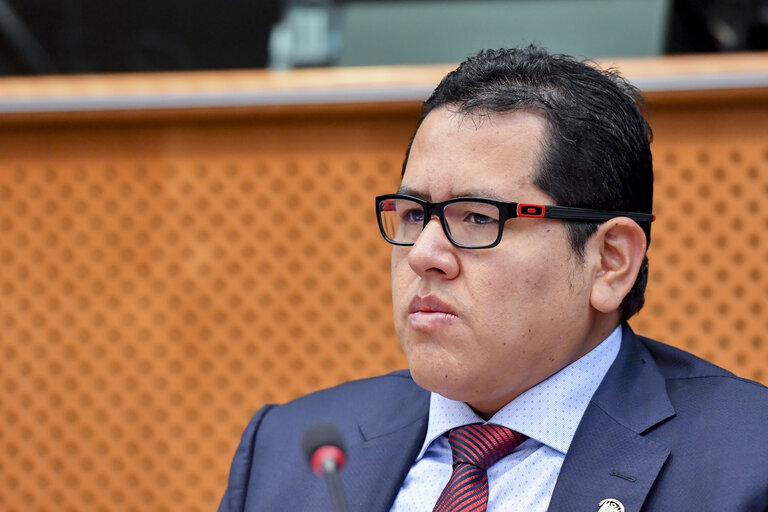 Fotografia 9: Meeting of the EP delegation for relations with Latin America with a delegation of the Congress of Peru