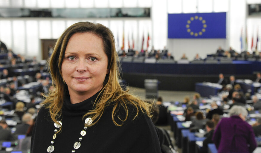 Mep in plenary during session week 6 2013 in Strasbourg