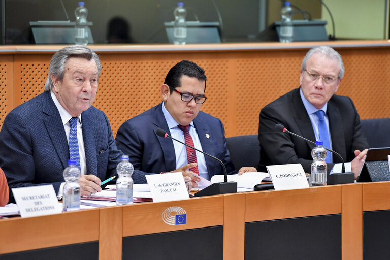 Fotografia 16: Meeting of the EP delegation for relations with Latin America with a delegation of the Congress of Peru