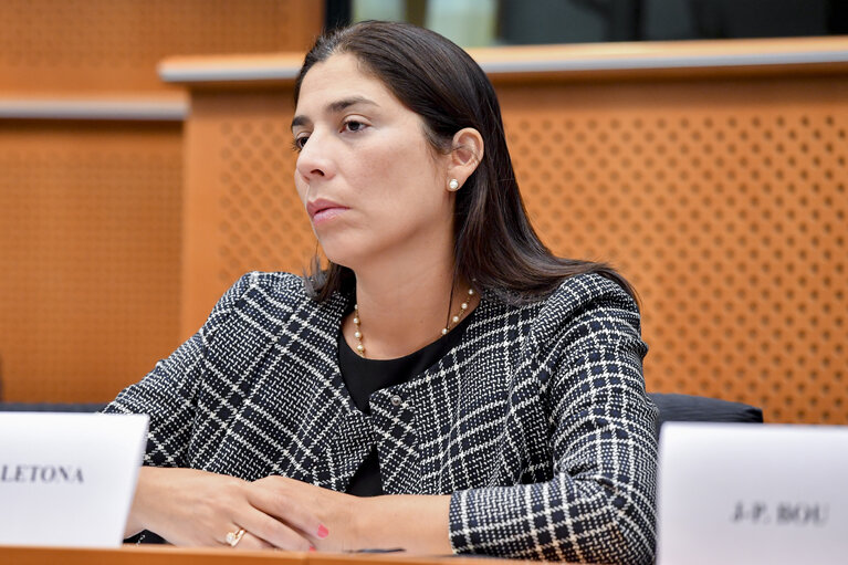 Fotografia 13: Meeting of the EP delegation for relations with Latin America with a delegation of the Congress of Peru