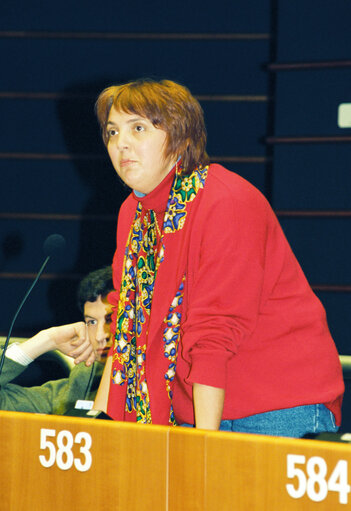 Fotogrāfija 3: Plenary Session in Brussels