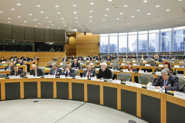 Delegation to the EU-Russia parliamentary cooperation Committee