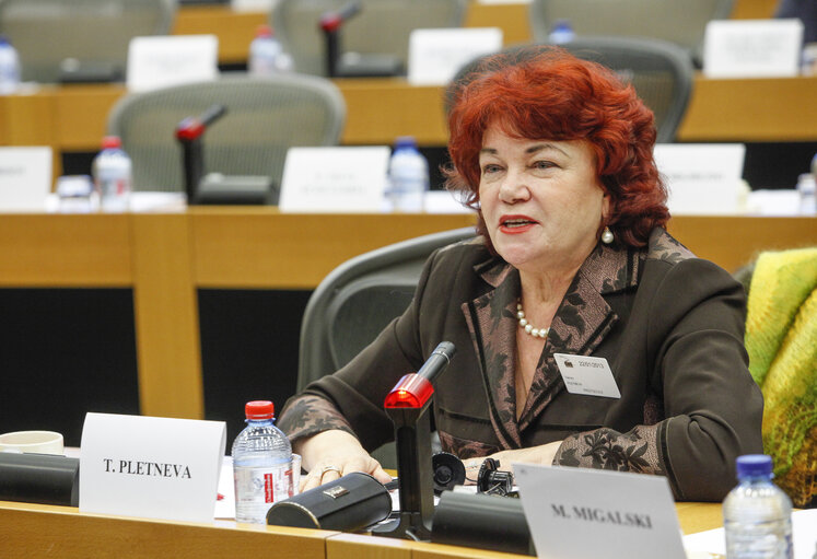 Fotografija 15: Delegation to the EU-Russia parliamentary cooperation Committee