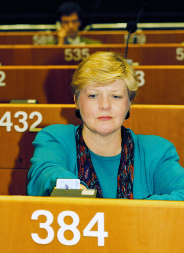 Plenary Session in Brussels