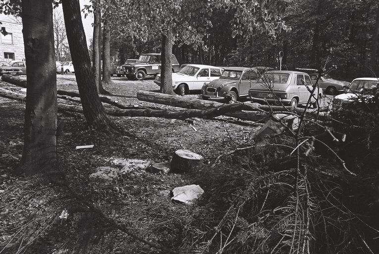 Trees felled behind Schuman Building in Luxembourg