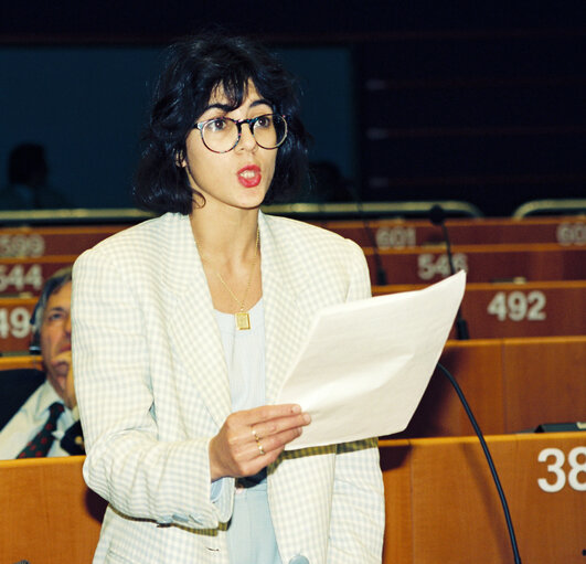 Photo 3 : Plenary Session in Brussels