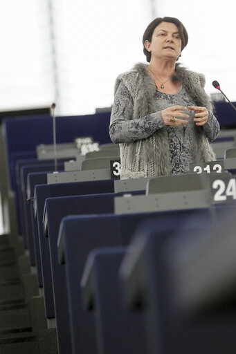 Billede 42: Plenary session week 03 2013 - Cohesion policy / European Solidarity Fund