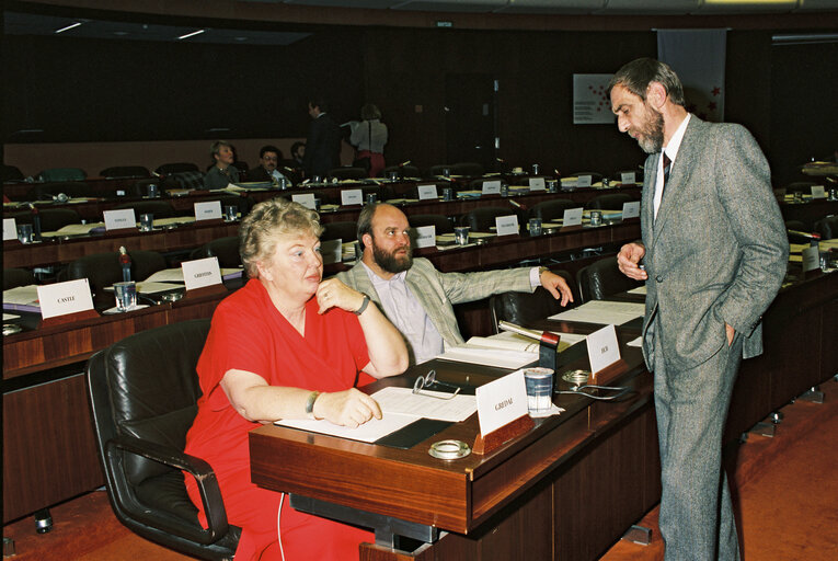 Danish Members of the Socialist Group at work