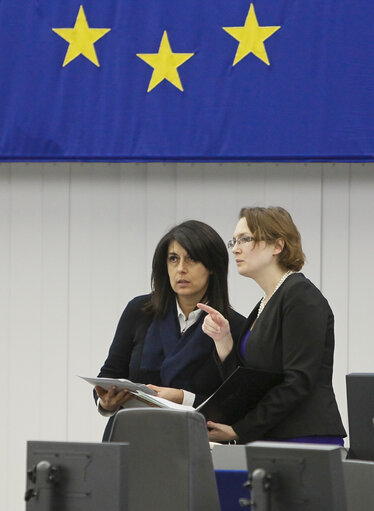 Photo 30 : Plenary Session Week 03 2013 - Youth guarantee